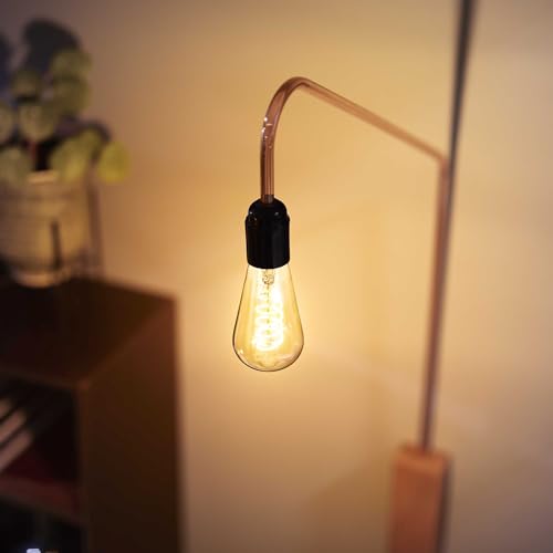 60W ST19 1 Pack Vintage Edison Spiral Bright White