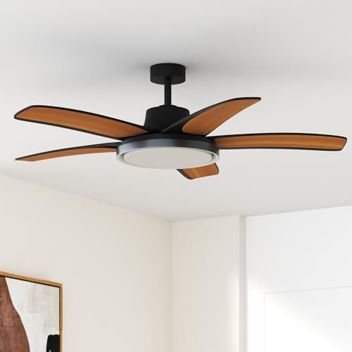 Smart RGBIC Ceiling Fans with Lights
