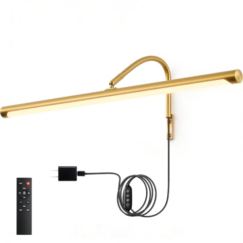 Plug in Picture Light for Wall (Gold / 24 Inch)