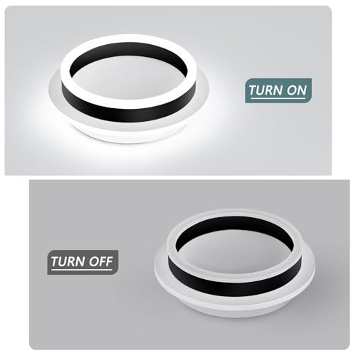 Round Modern LED Flush Mount Ceiling Lamp