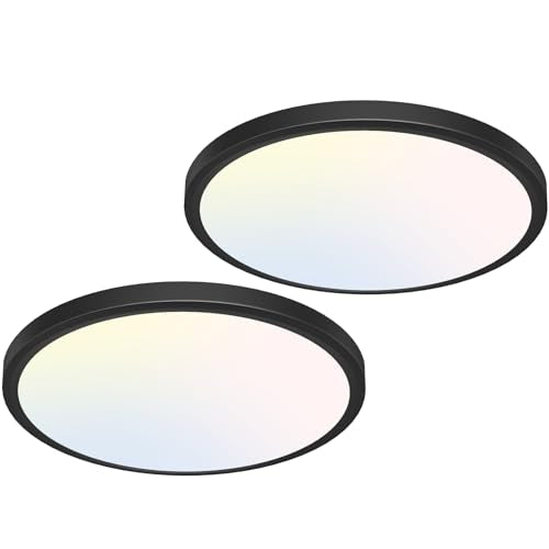 12 inch Flush Mount LED Ceiling Light Fixture (2 Count)