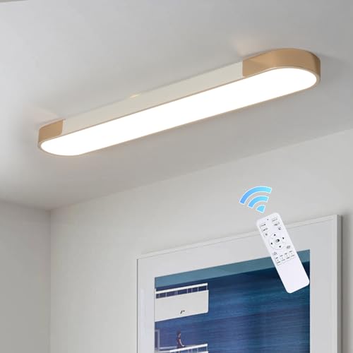 Modern LED Ceiling Light