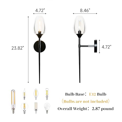 Single Modern Black Glass Wall Sconce Light with Flower Shade
