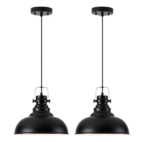 Industrial Pendant Light Fixture (2 Count)
