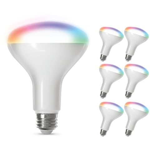 BR30 Smart Flood Light Bulb (6 Count)