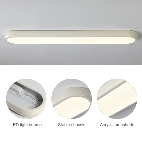 LED Ceiling Light