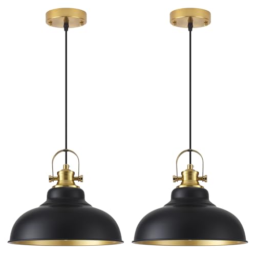 Black and Gold Pendant Light