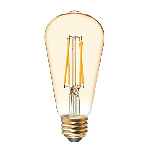 Lighting GE Vintage Style LED Light Bulb
