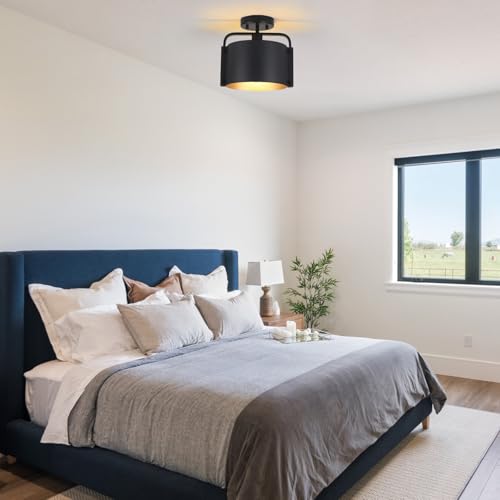 Flush Mount Ceiling Light