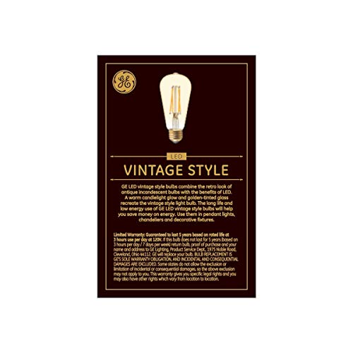 Lighting Vintage Edison Style LED Light Bulbs (2 Count)