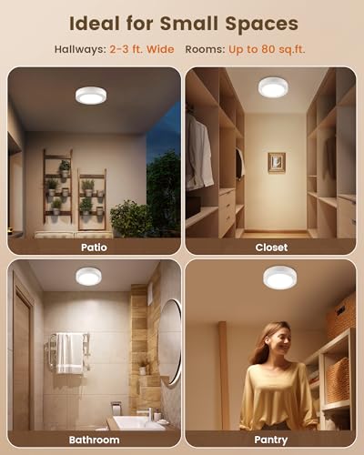 Rechargeable Ceiling Light with Wall Switch Remote
