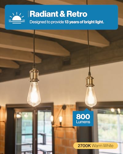 Sunco 40 Pack Edison Bulbs LED ST64 (40 Count)