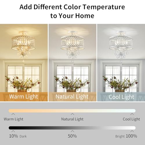 Crystal Ceiling Light Fixture