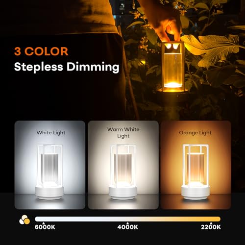 Rechargeable Cordless Small Metal Table Lamp (2 Count)