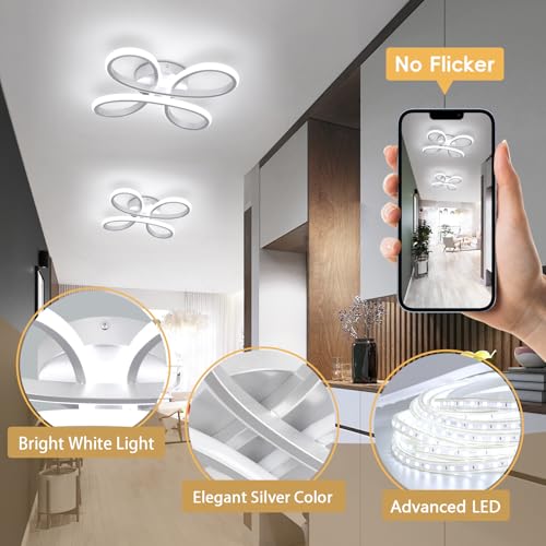 Modern LED Ceiling Light