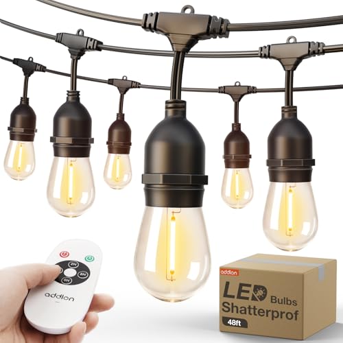 LED Outdoor String Lights 48FT with Timer Edison Vintage Bulbs ETL (48 Foot)