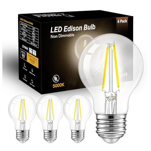 A19 Vintage LED Edison Bulbs (4 Count)