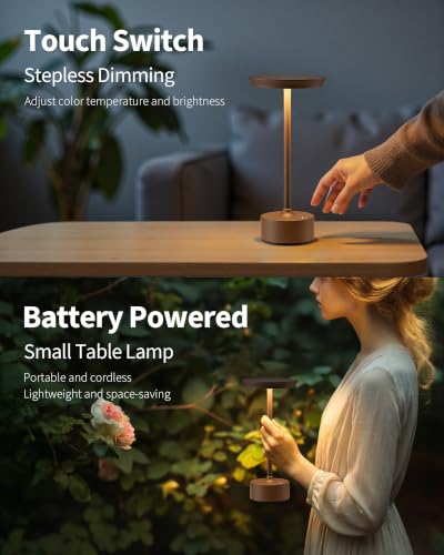 Rechargeable Table Lamps Set of 2 (2 Count)