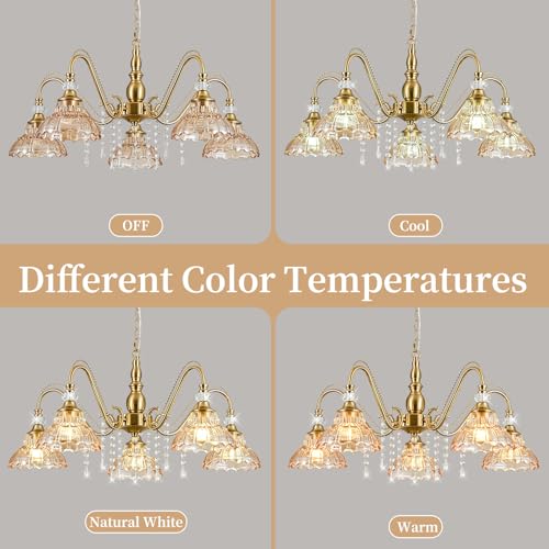 5 Light Vintage Chandelier in Brushed Gold Finish with Amber Flower (5-Light / Gold and Amber)