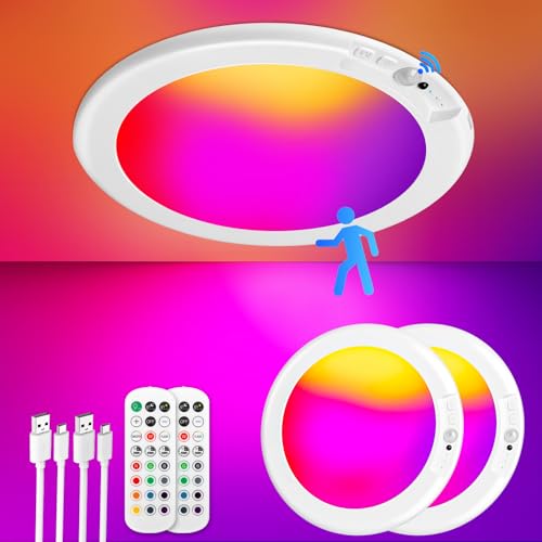 Rechargeable Motion Sensor Ceiling Light (2 Count)