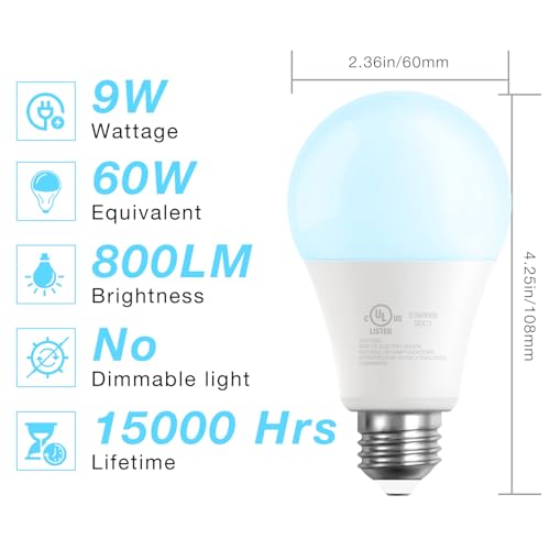 A19 LED Light Bulbs (12 Count)
