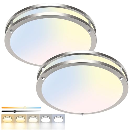 2 Pack Flush Mount Ceiling Light Fixture (2 Count)