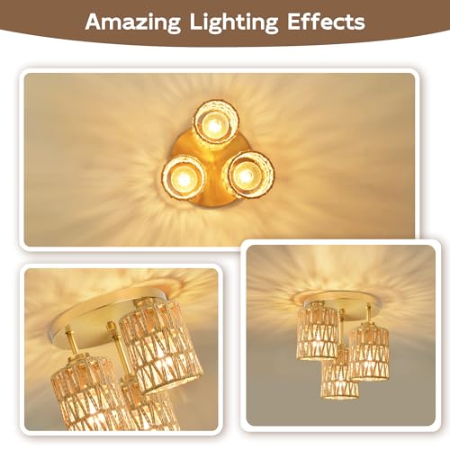 Semi Flush Mount Ceiling Light