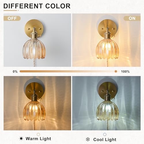 Plug in Wall Sconce