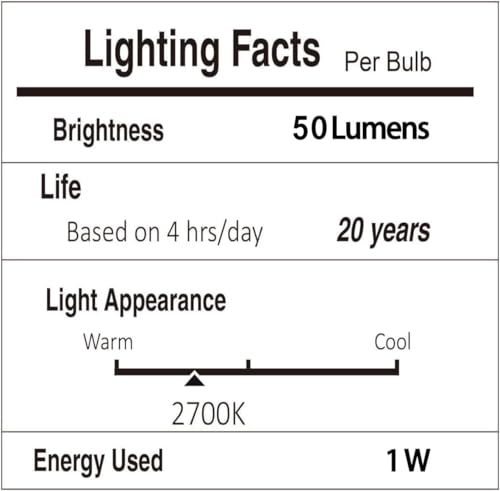 Outdoor String Lights LED 100FT (100 Foot)