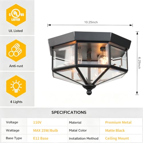 Flush Mount Outdoor Ceiling Light Fixture