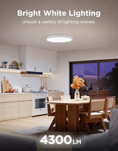 Smart Ceiling Light 4300LM 15 Inch