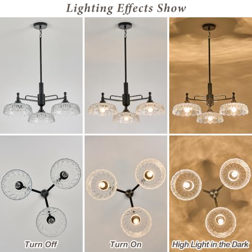 Chandeliers Black Modern Pendant Lighting Fixtures 3 Lights Chandelier Clear Glass Hanging Lamp for Island Dining Room Living Room