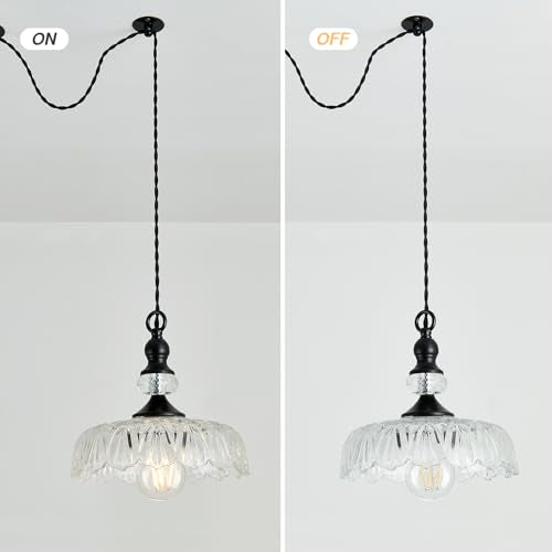 Plug in Glass Pendant Light Fixture Black Vintage Adjustable Chandelier Hanging Ceiling Light for Farmhouse Hallway Bedroom Foyer Kitcken Dining Room Island