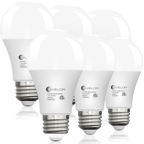 6 Pack LED Light Bulbs (6 Count)