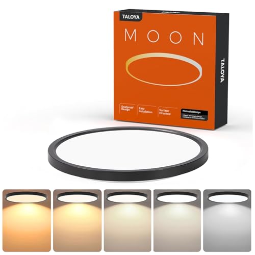 10 Inch LED Flush Mount Ceiling Light Fixture