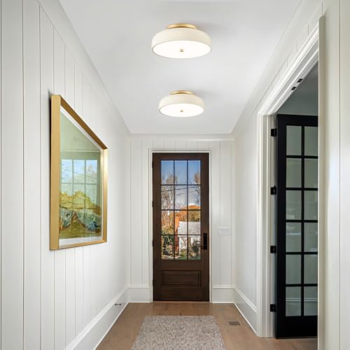 Dimmable LED Ceiling Light Fixture
