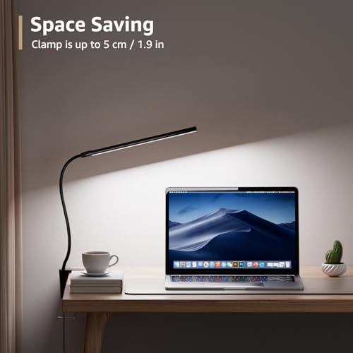 Clip on Desk Lamp