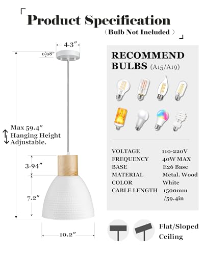 10.2” Hammered Pendant Light Fixtures