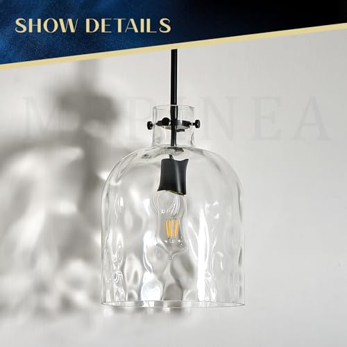 Modern Black Glass Pendant Light