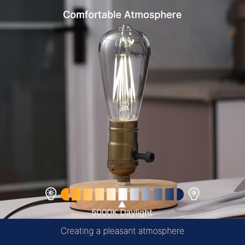 LED Edison Bulbs (6 Count)