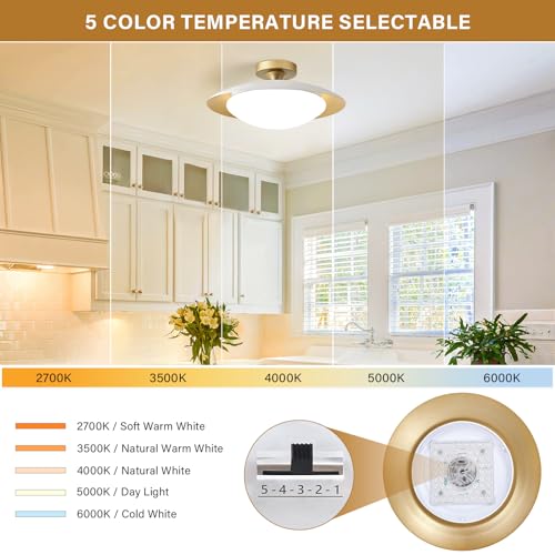 Dimmable Modern Mid