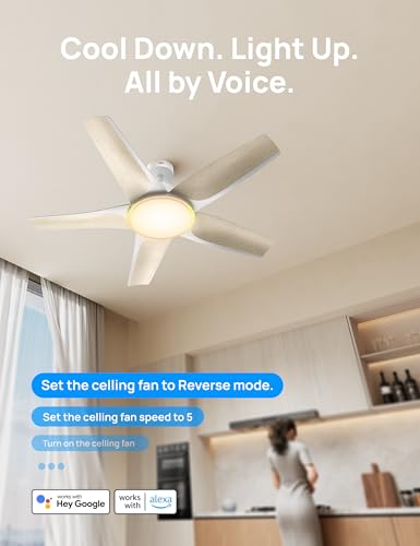 Smart Ceiling Fans with Lights