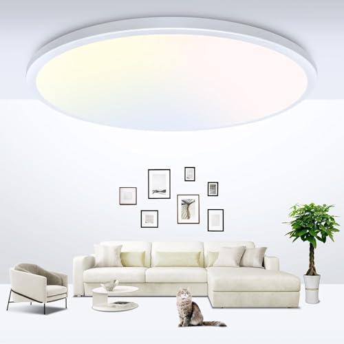 23 Inch LED Flush Mount Ceiling Light
