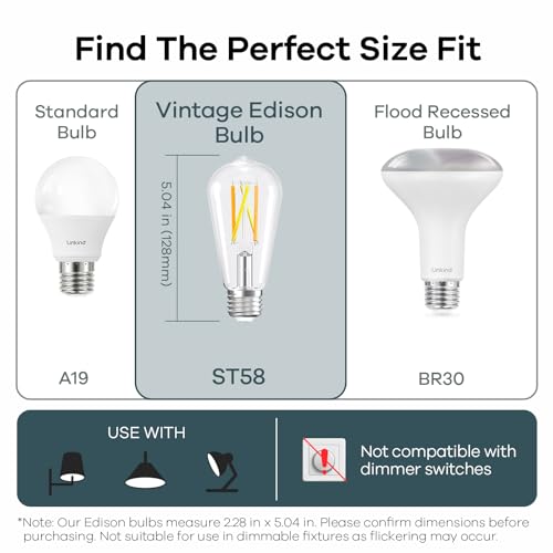 Smart Edison Light Bulb (6 Count)