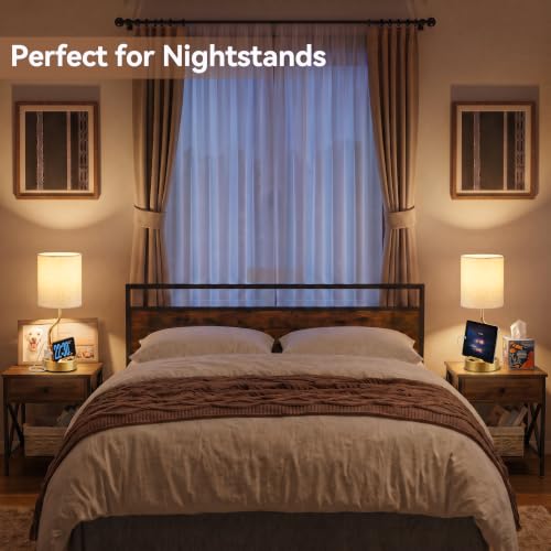 Bedside Lamps for Bedroom Set (2 Count)