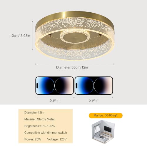 Modern LED Gold Flush Mount Ceiling Light