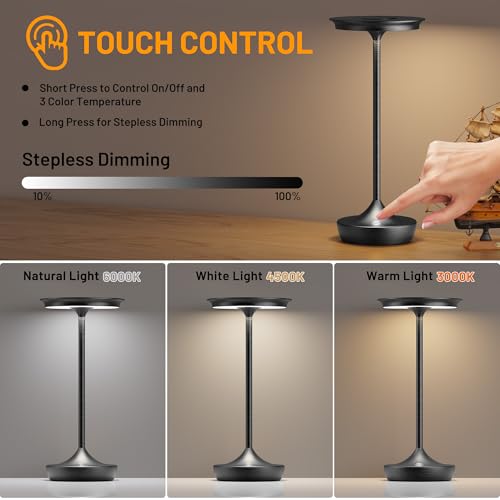 LED Rechargeable Cordless Outdoor 6000mAh Battery Table Lamp 2 (2 Count)