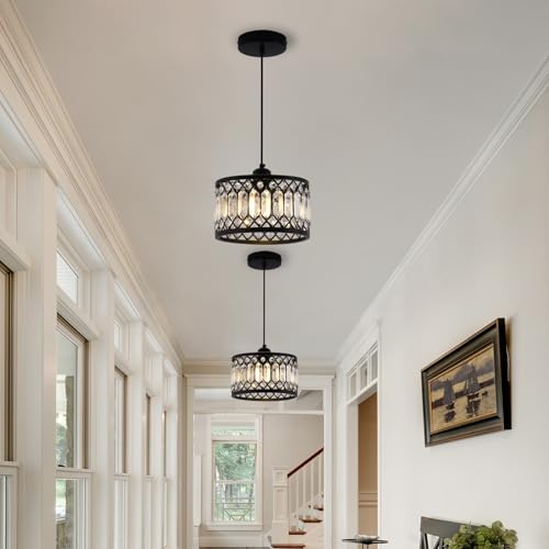 Crystal Black Pendant Light Fixture