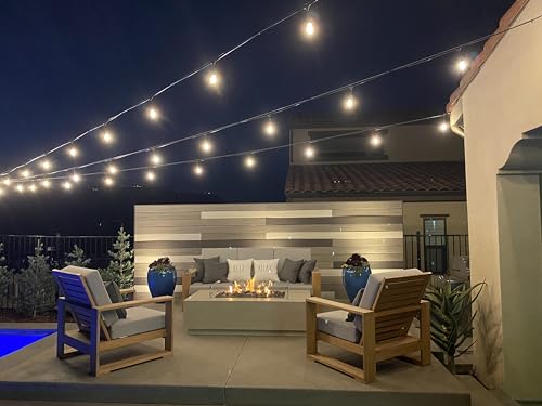 Ambience Pro LED Outdoor String Lights (48 Foot)