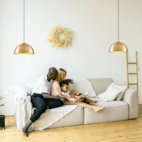 Plug in Hanging Light 2 Packs 11.8inch (2 Count)